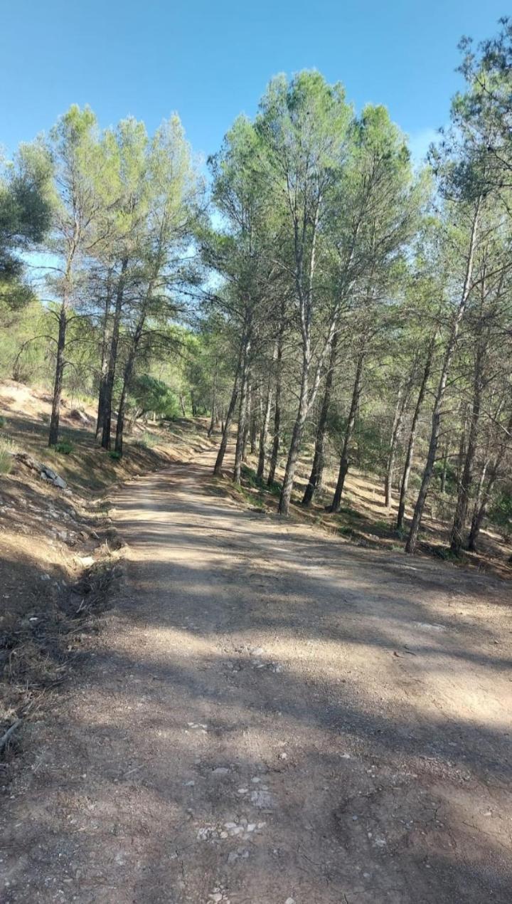 Atico-Plaza Apartman Algodonales Kültér fotó